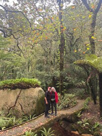 Sintra Palace gardens