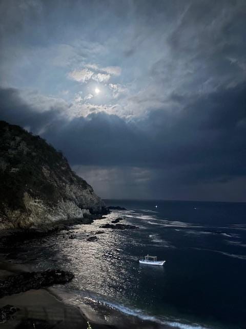 Moonrise from the roof