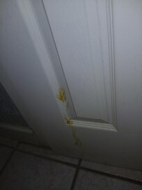 Back of bathroom door