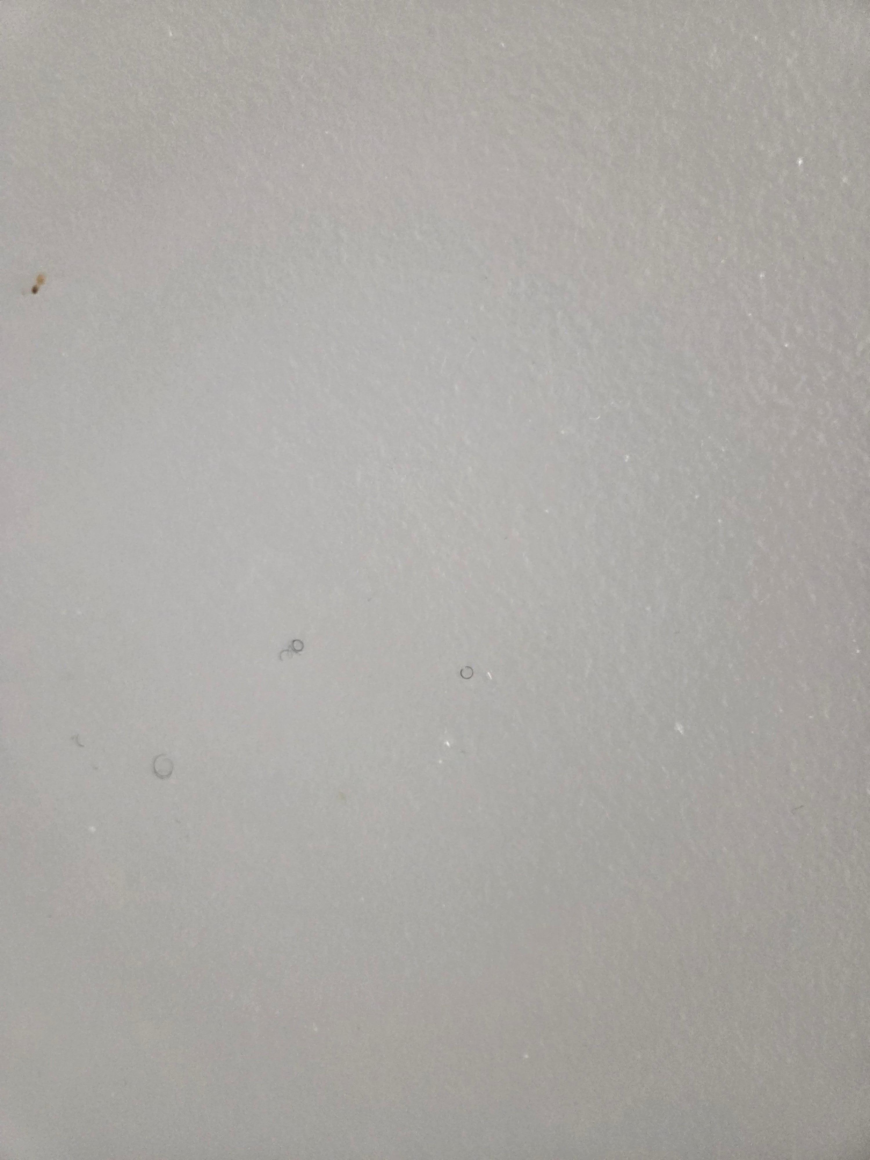 This was the ceiling in the shower!! 