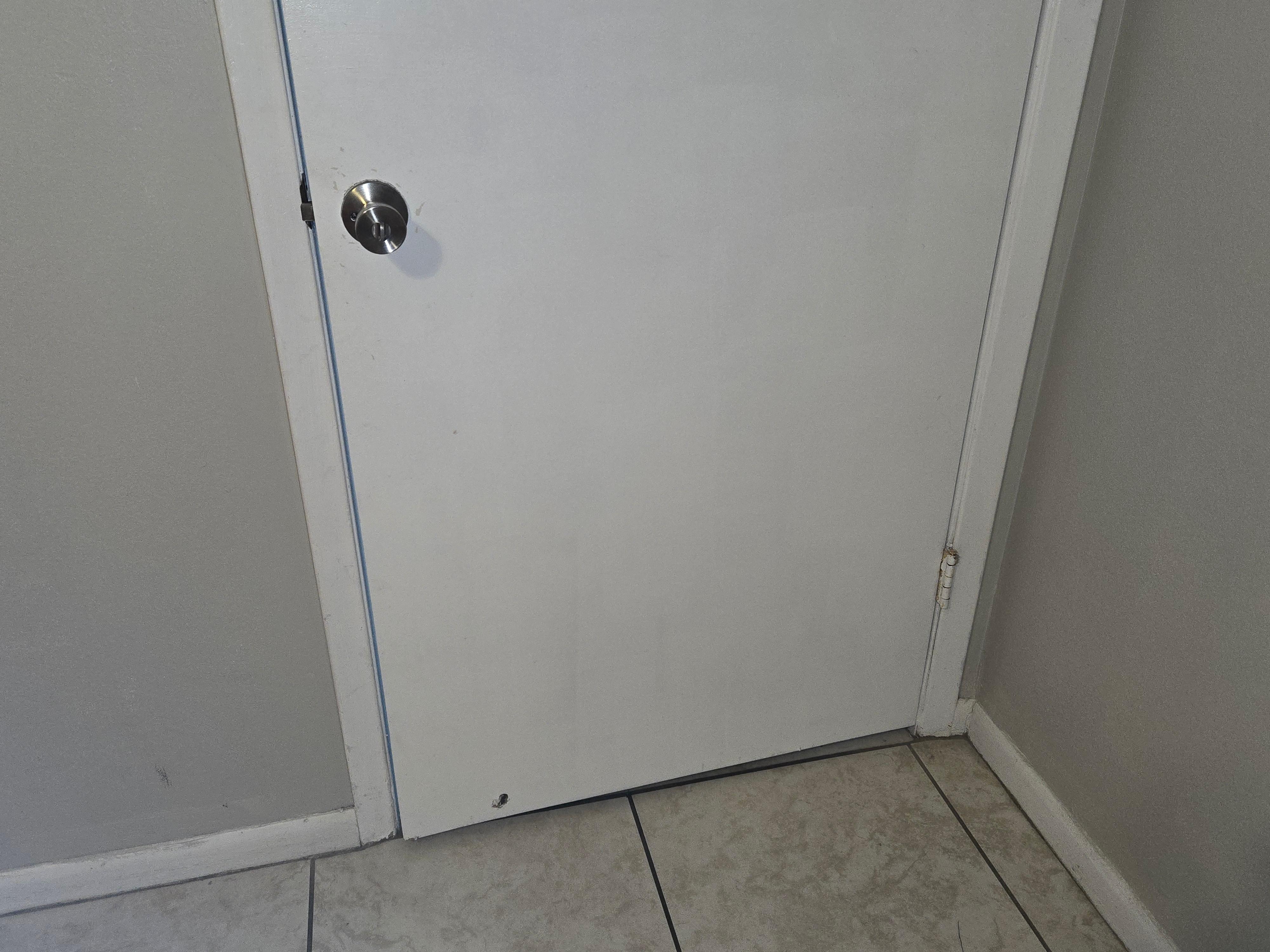 The hole on the door and markings all over it. Nothing like the pics on the website 