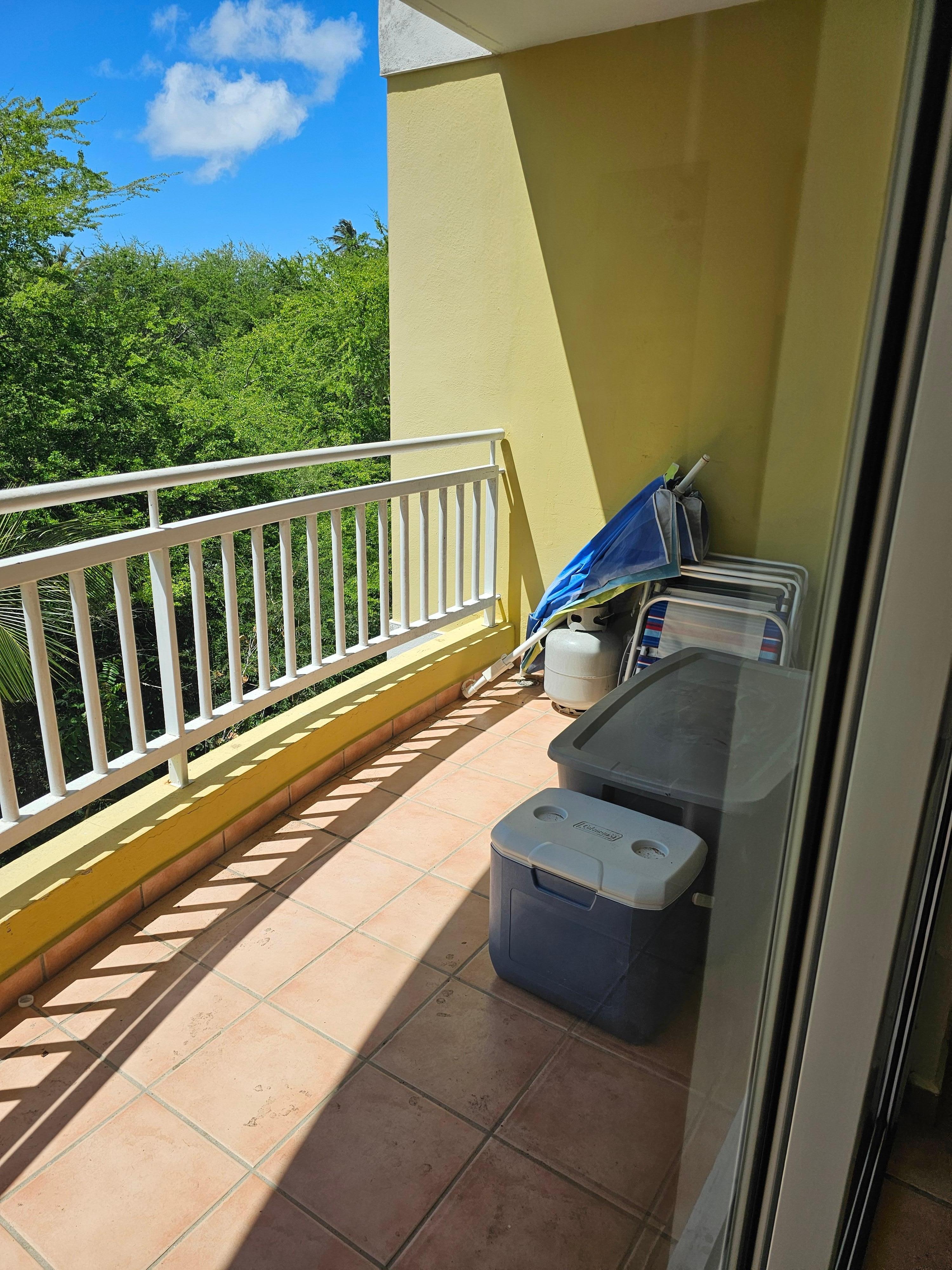 Back Balcony, this does not look at the ocean, but you might get to see Iguana's 