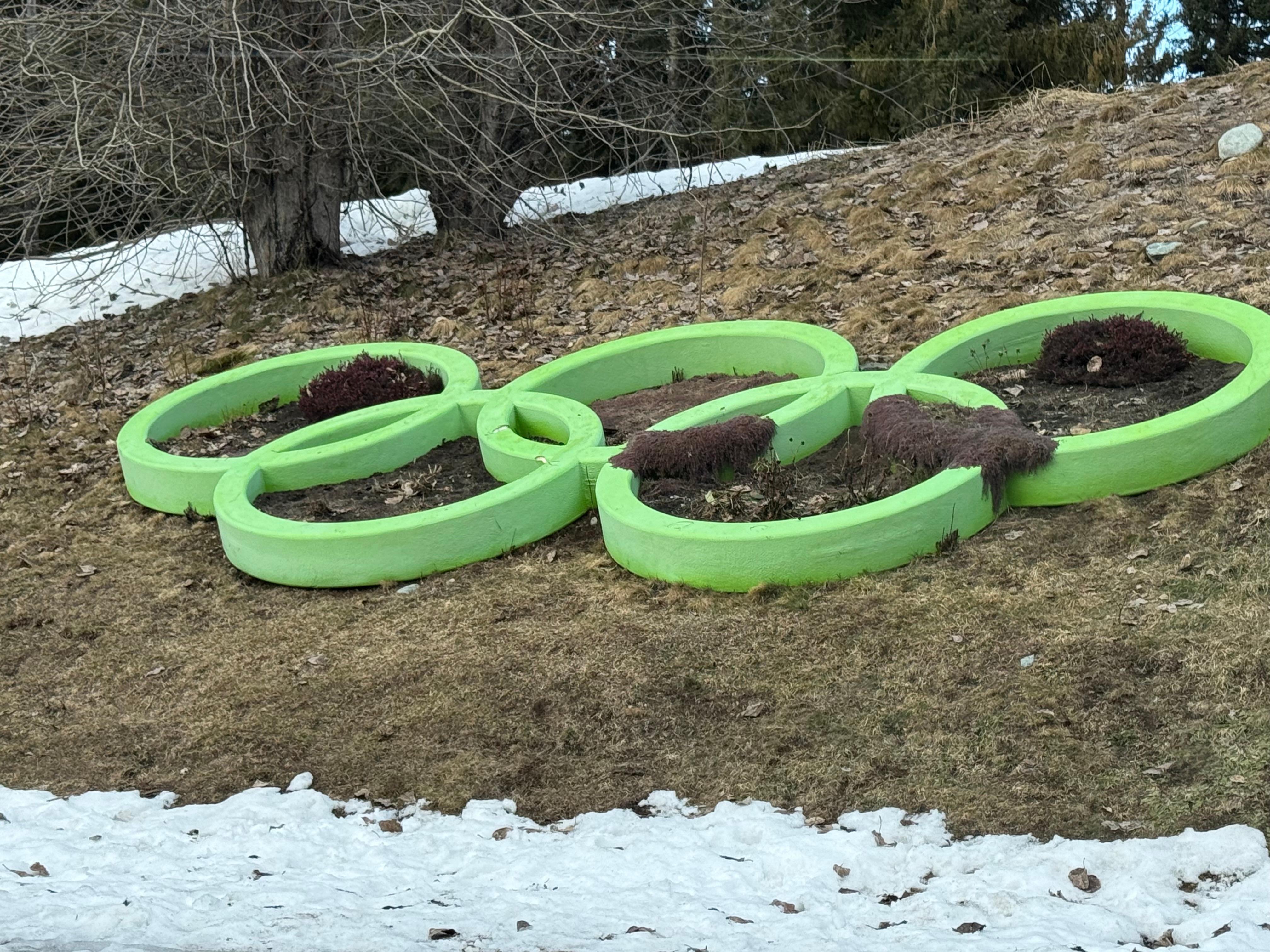 Rings at bobsled adventure 