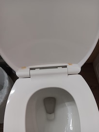 Urine on the commode.