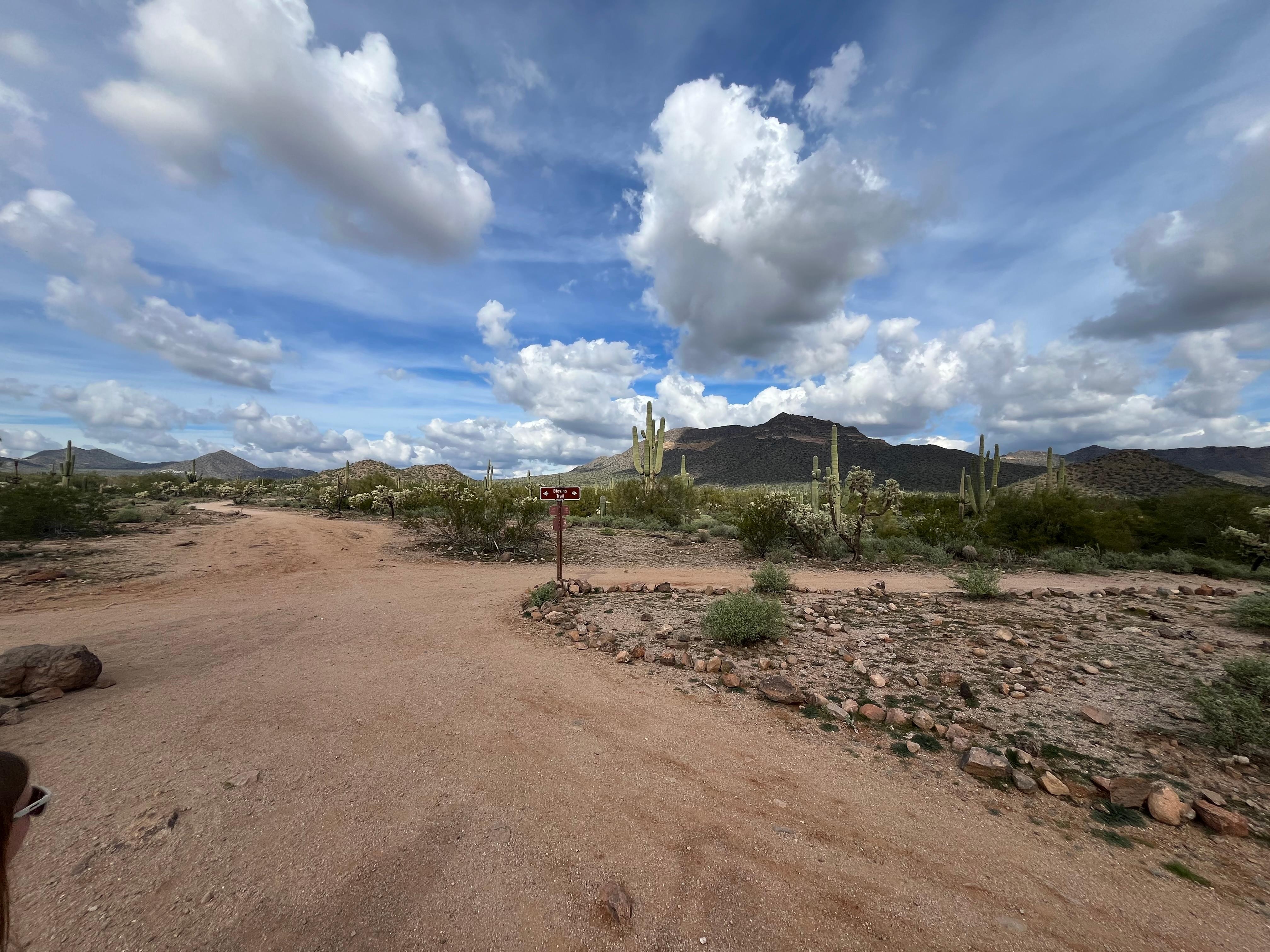 We took family hikes on some of the nearby recommended trails. 