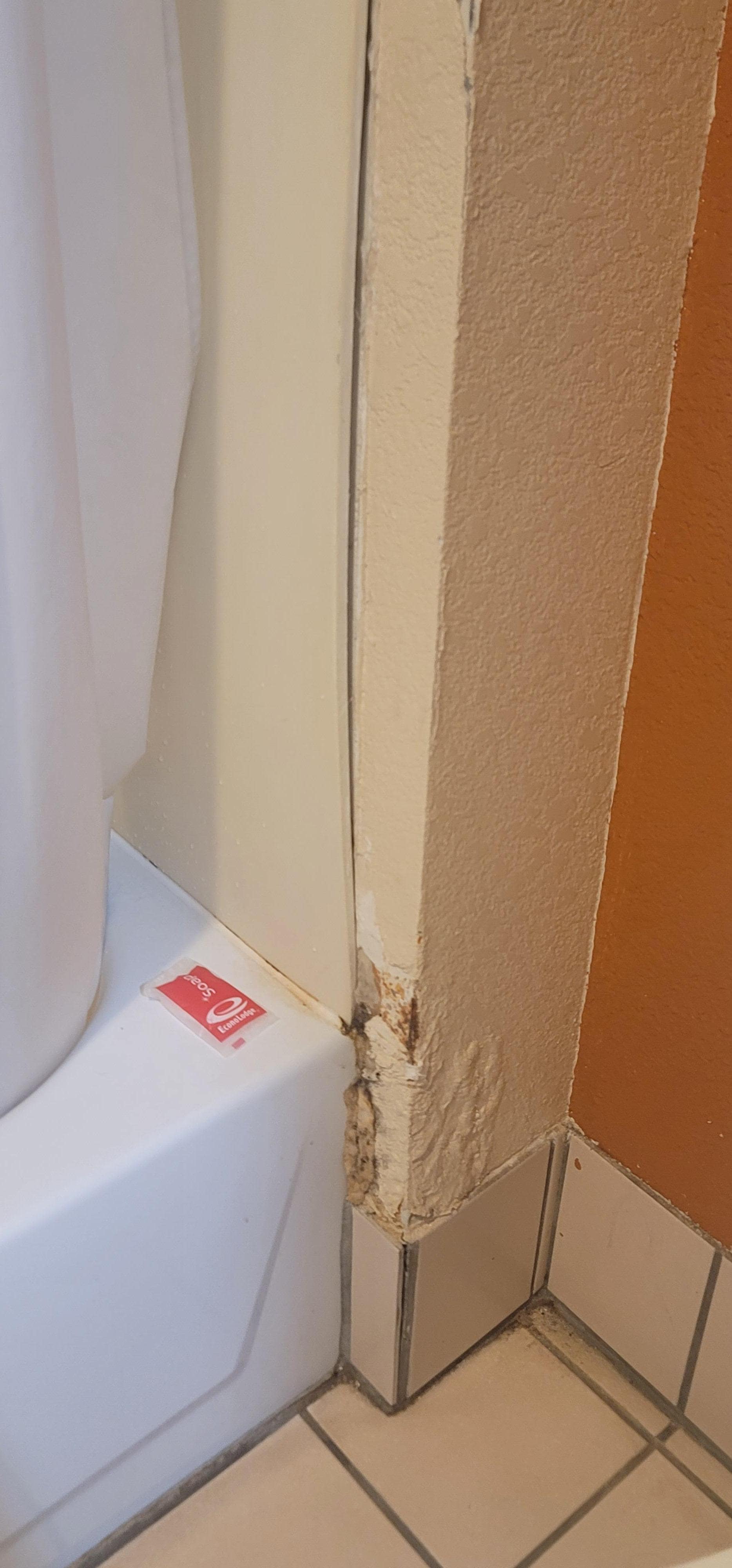 Water damage with Mold around shower / tub area