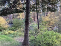Another view from the porch