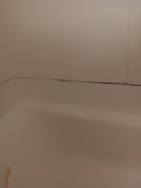 Mold around the tub