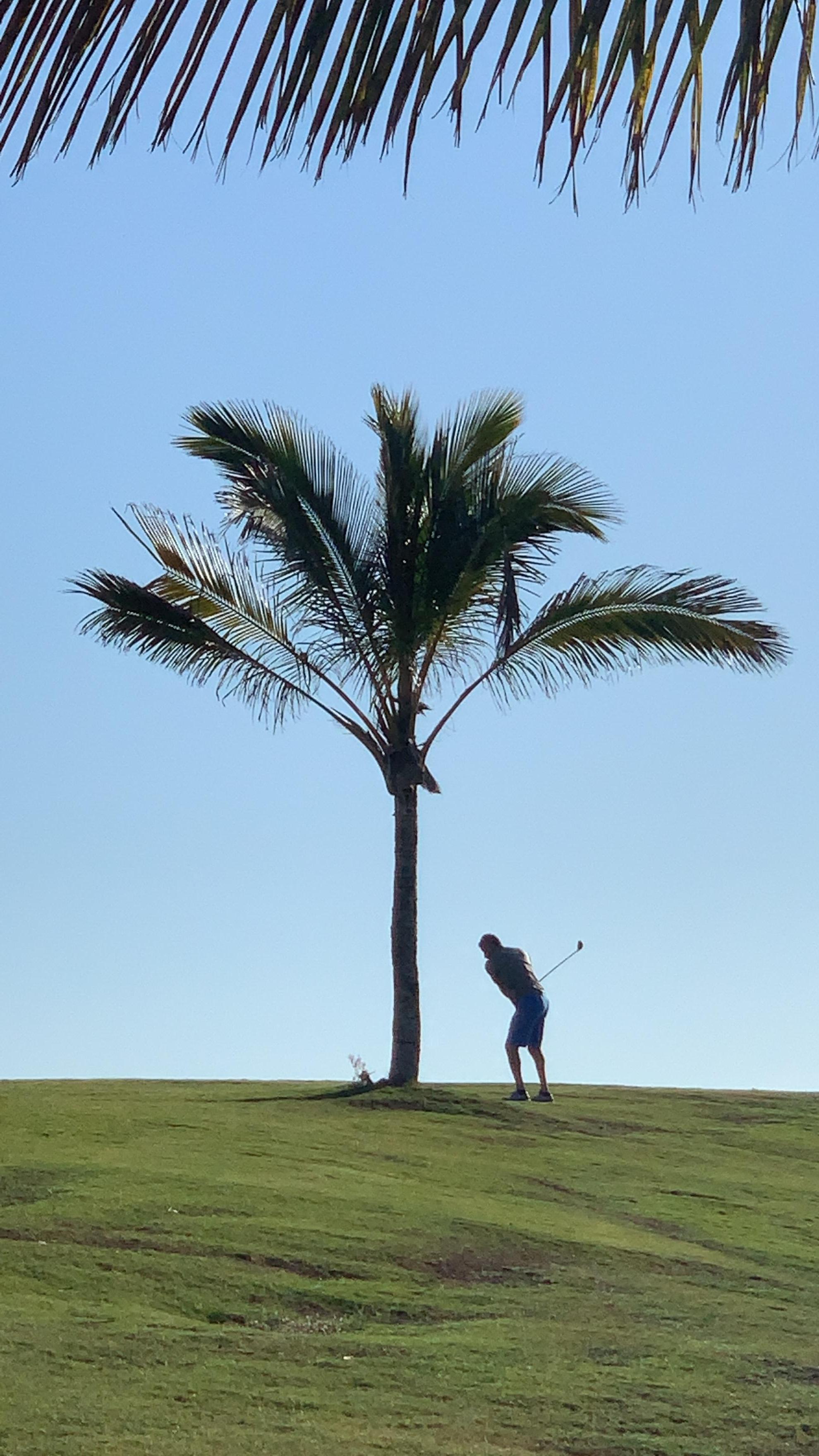 Golf sur les Abords de l’hôtel 