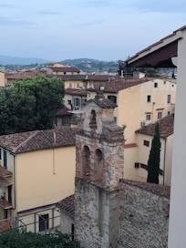 View of neighbor's back from the terrace.