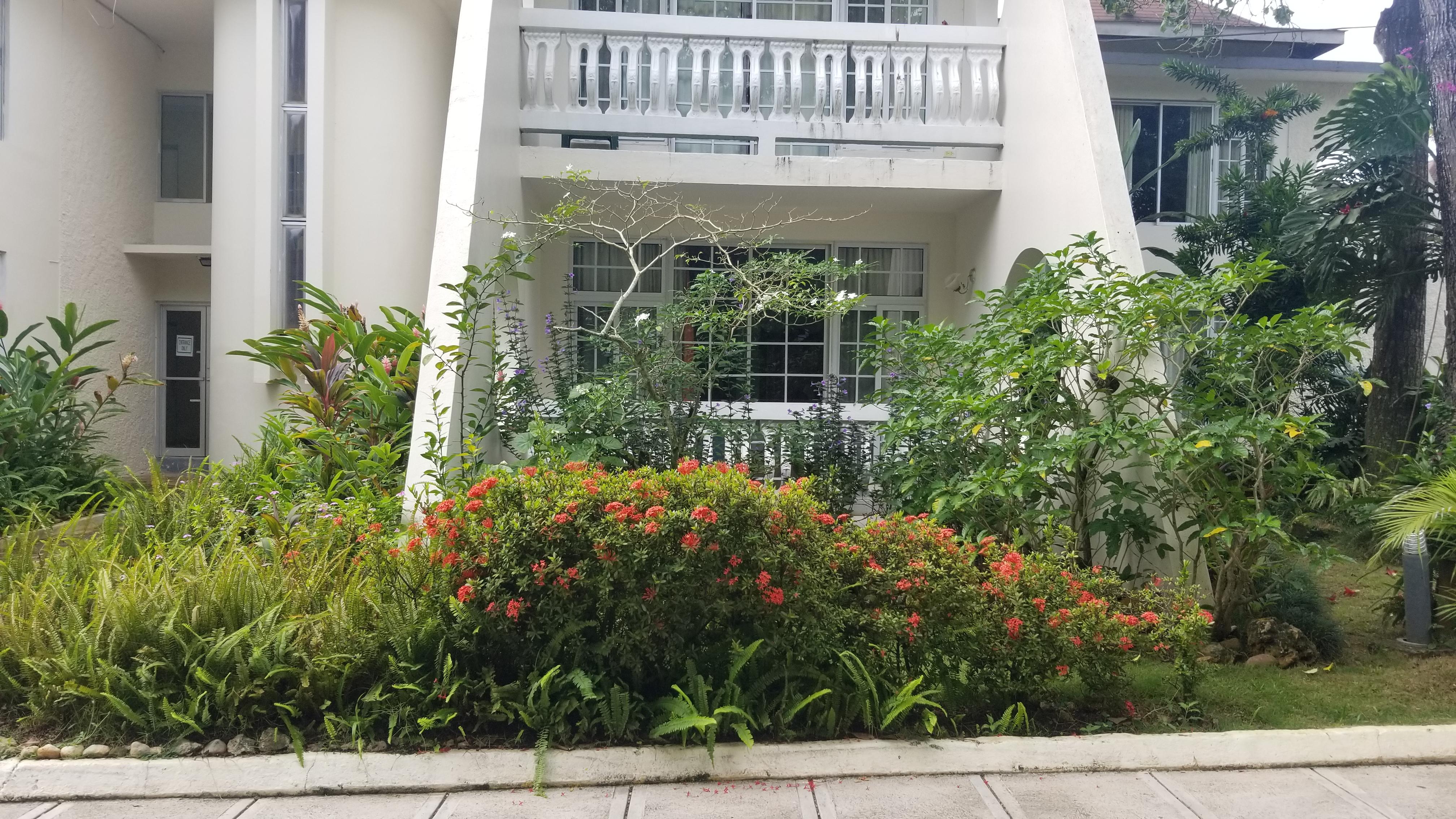 Our room behind the flowering shrubs.