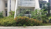 Our room behind the flowering shrubs.