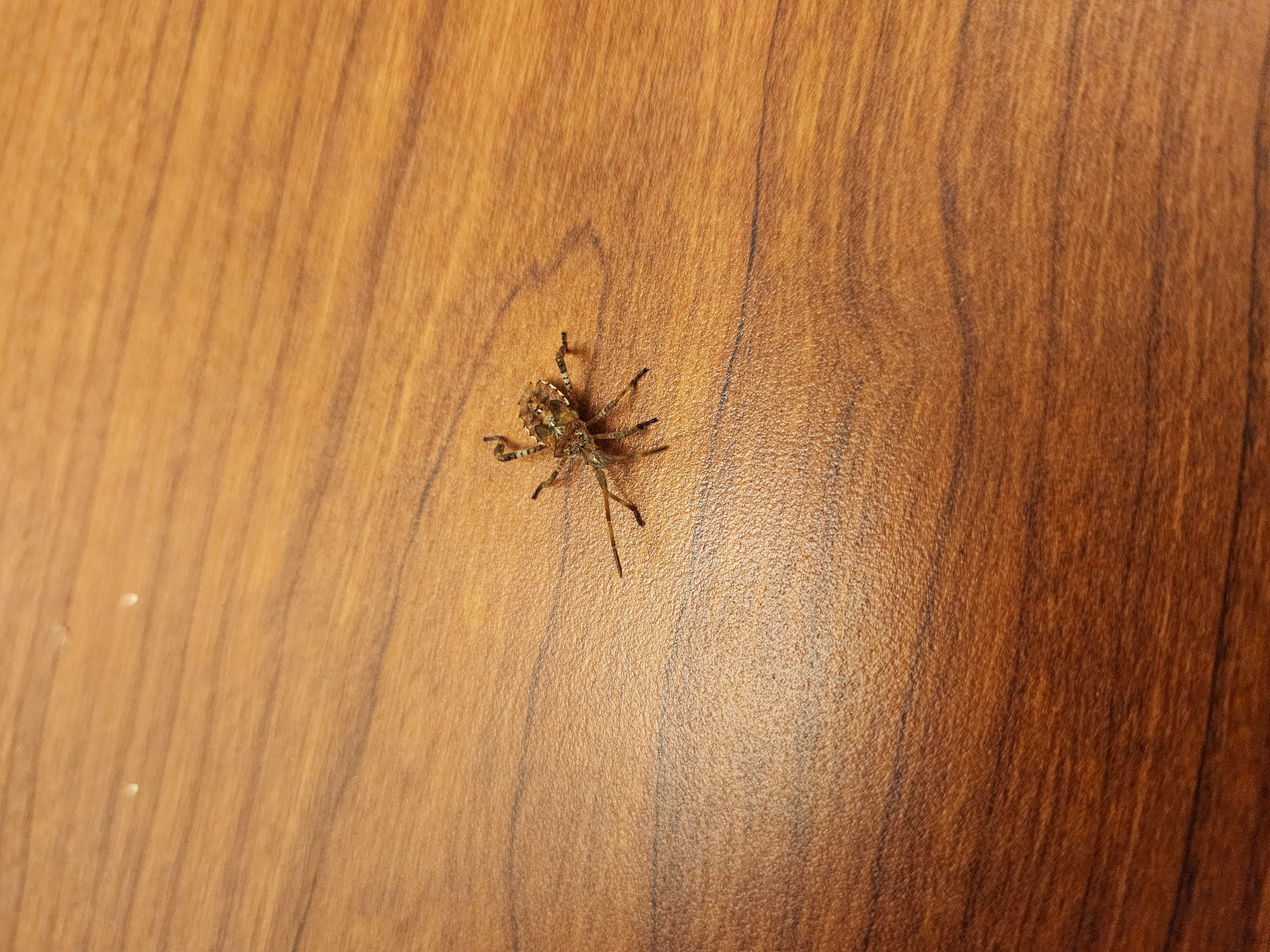 Woke up withthis  guy on the nightstand. 