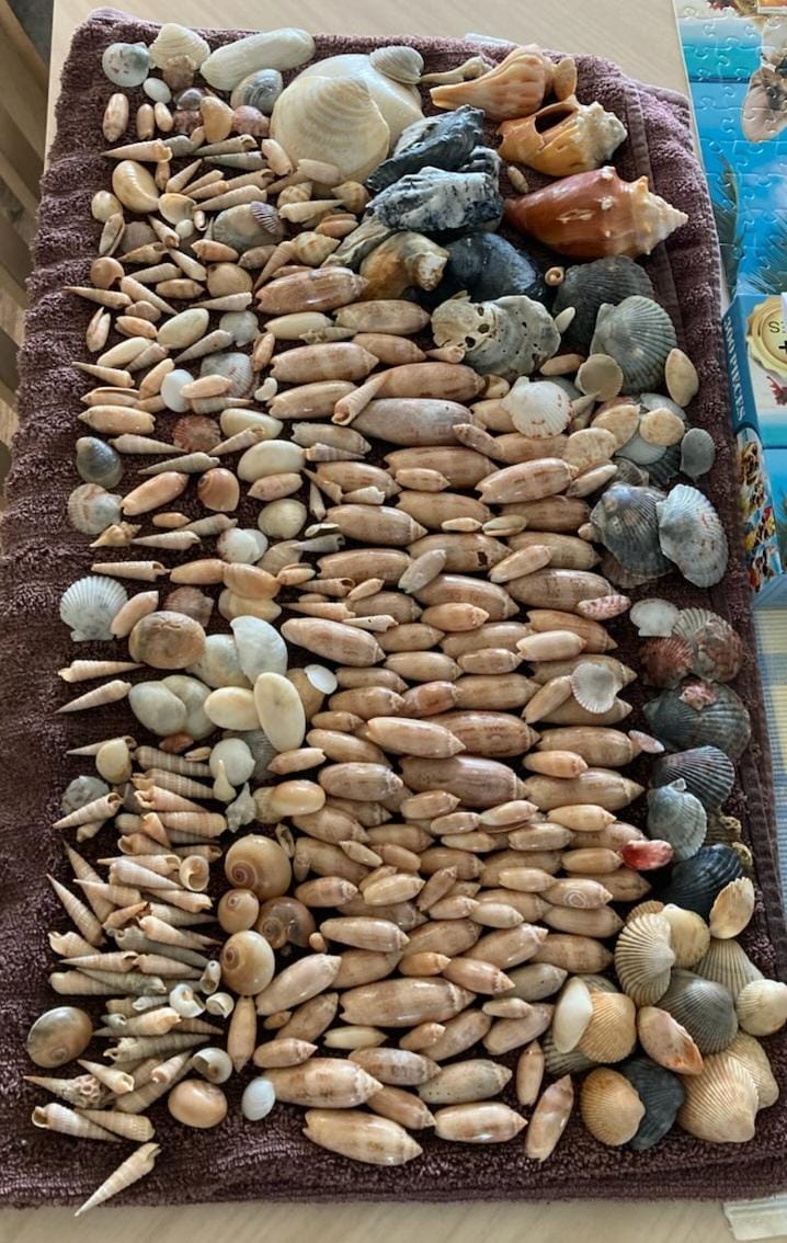 Found some treasures along the shore