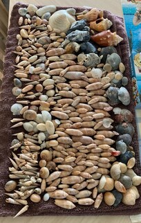 Found some treasures along the shore
