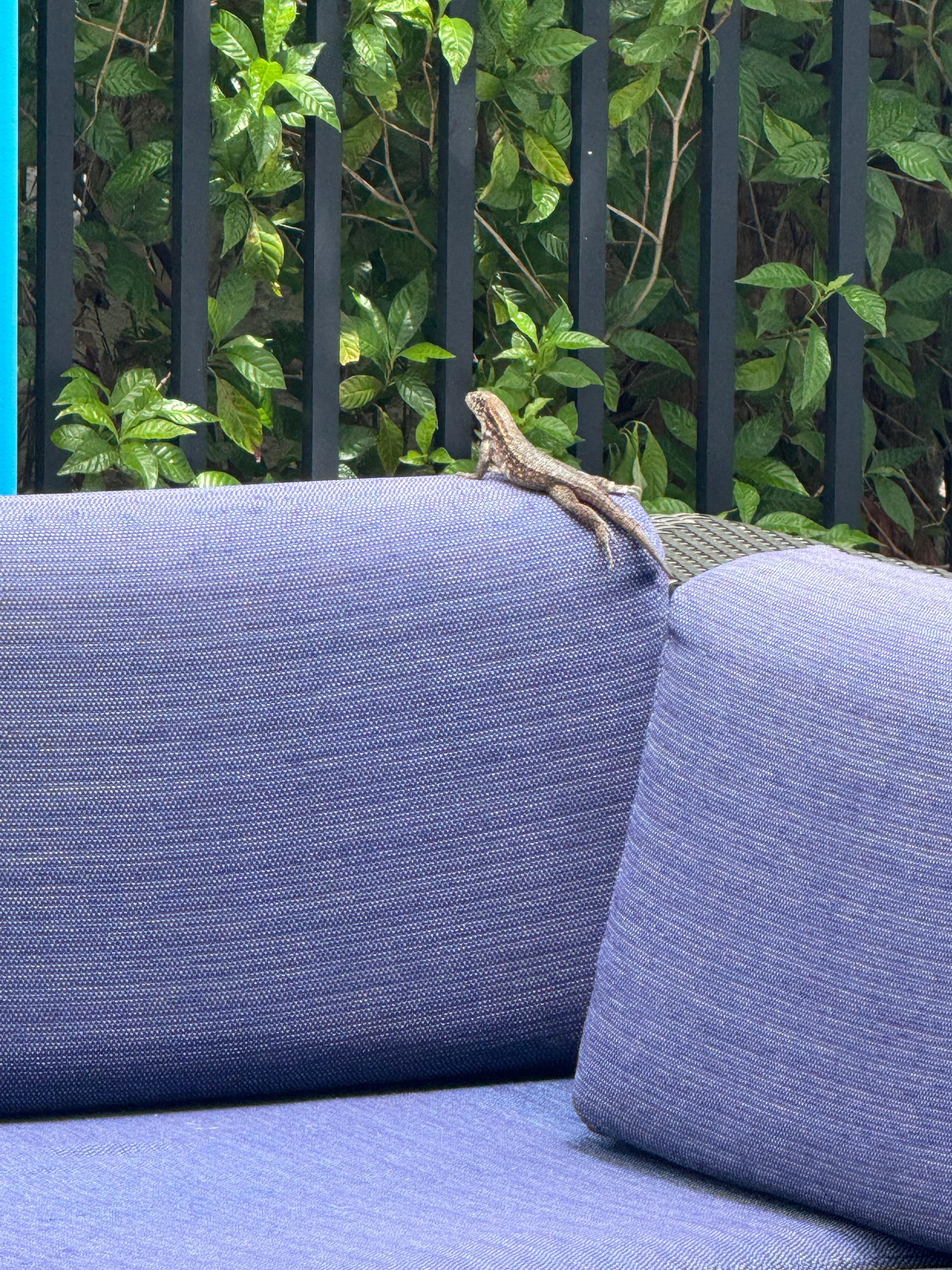 We noticed this little guy before going inside