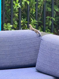 We noticed this little guy before going inside