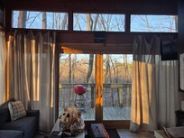 Back doors facing the woods.