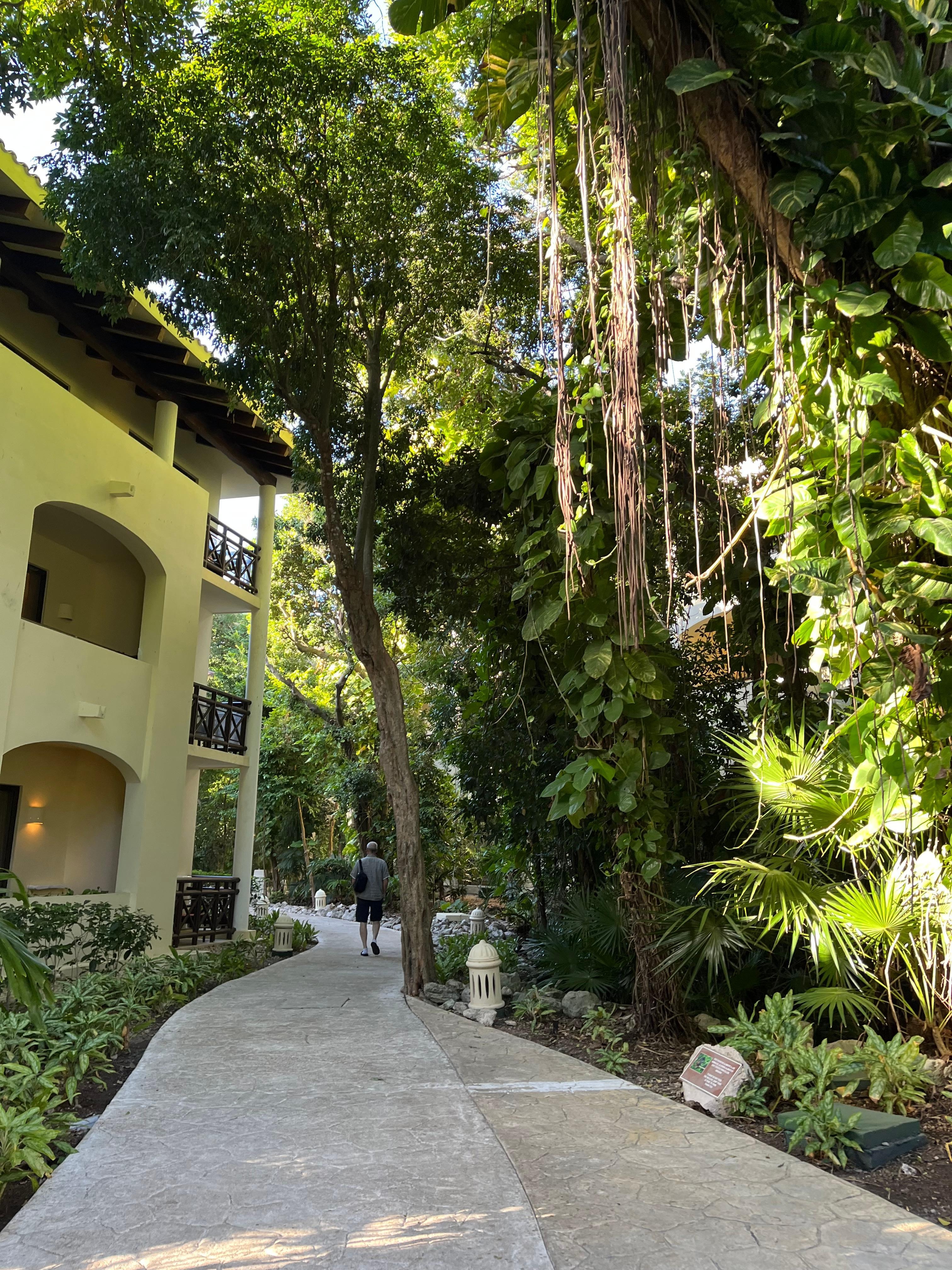 Royal, walking towards building 32