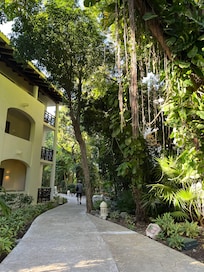 Royal, walking towards building 32