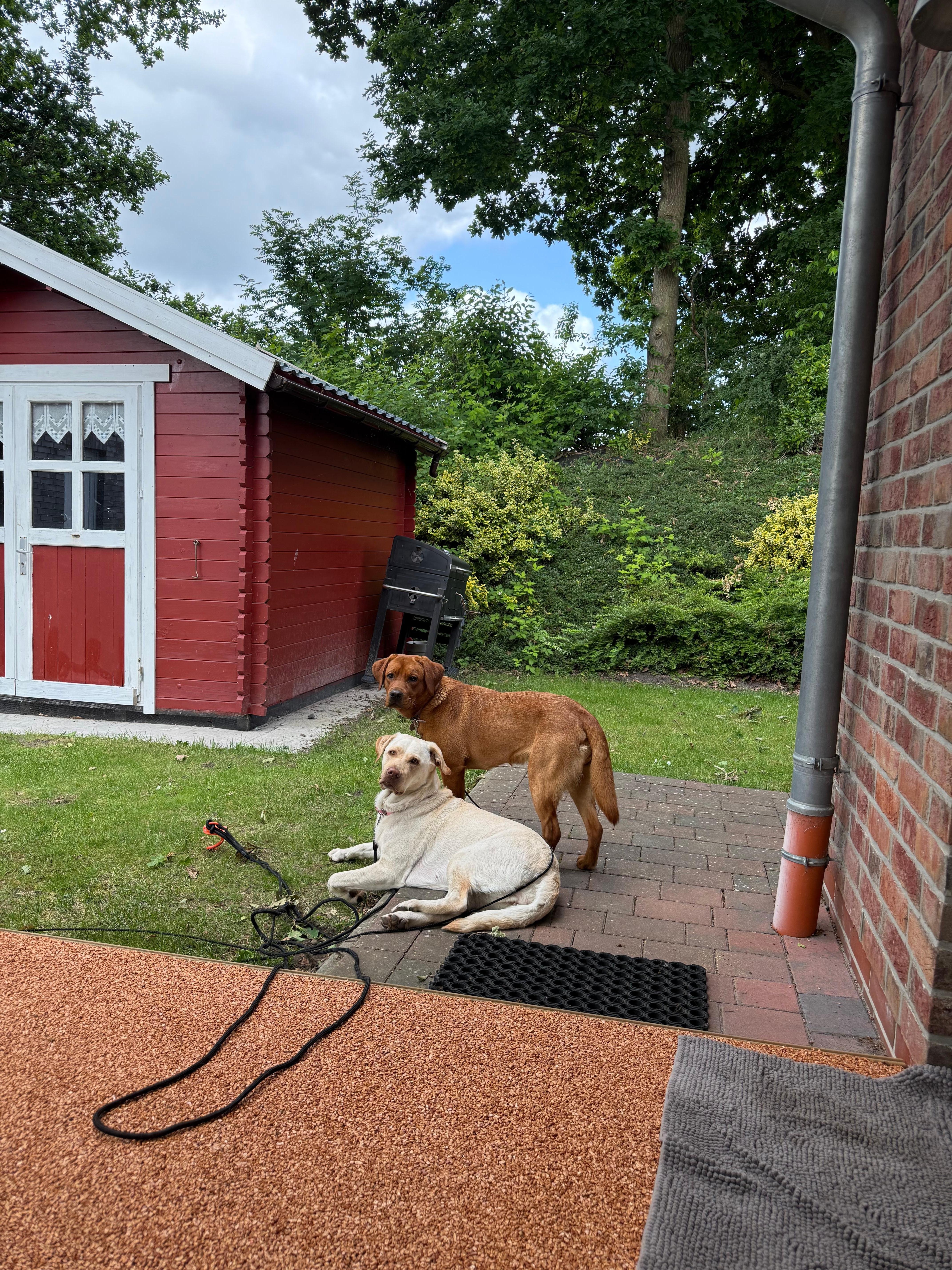 Hauseigener Garten/ Terrasse 