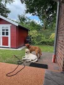 Hauseigener Garten/ Terrasse