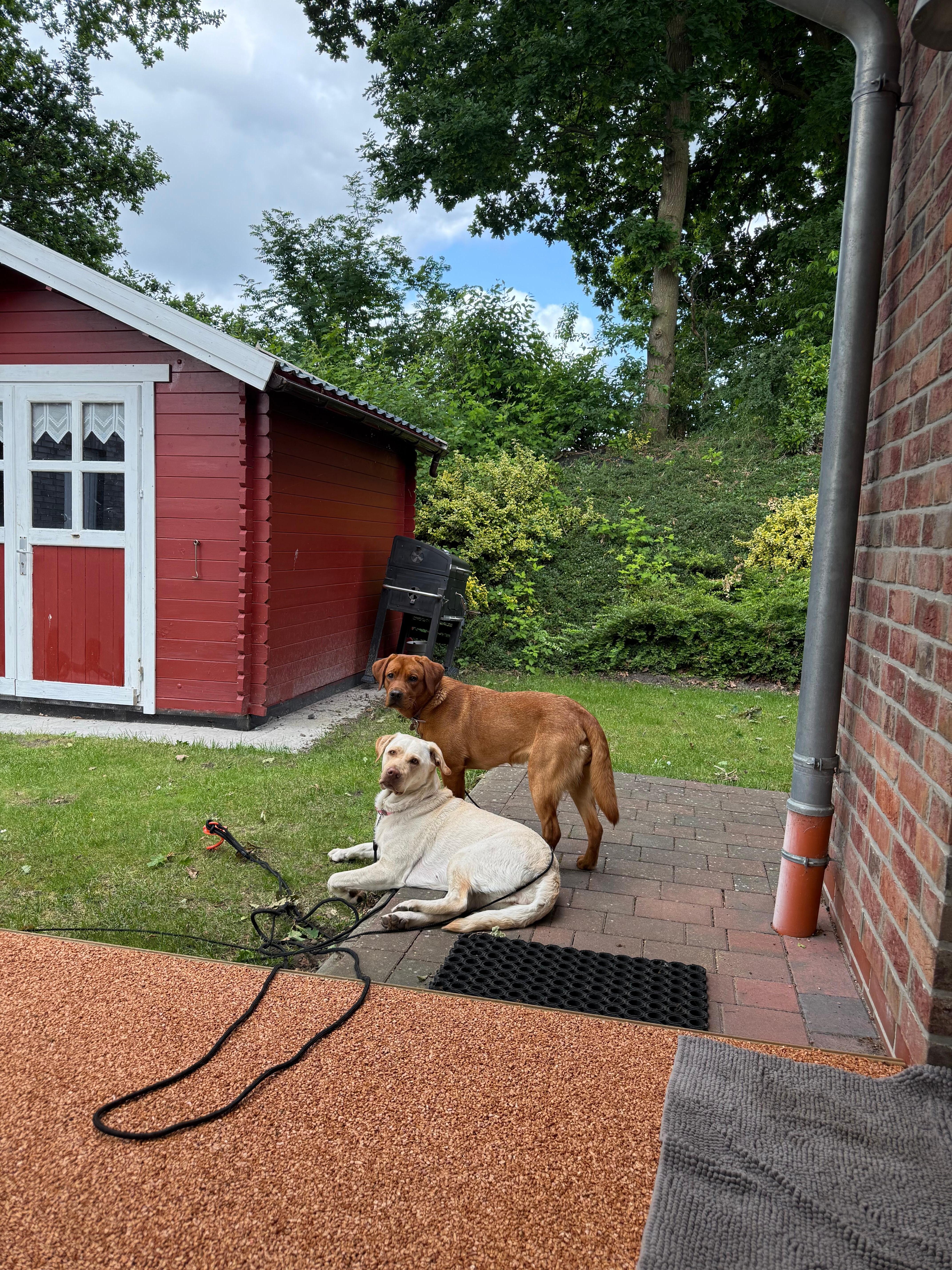 Hauseigener Garten/ Terrasse 
