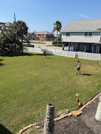 Yard area
