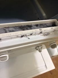 We enjoyed breathing in mold…..not