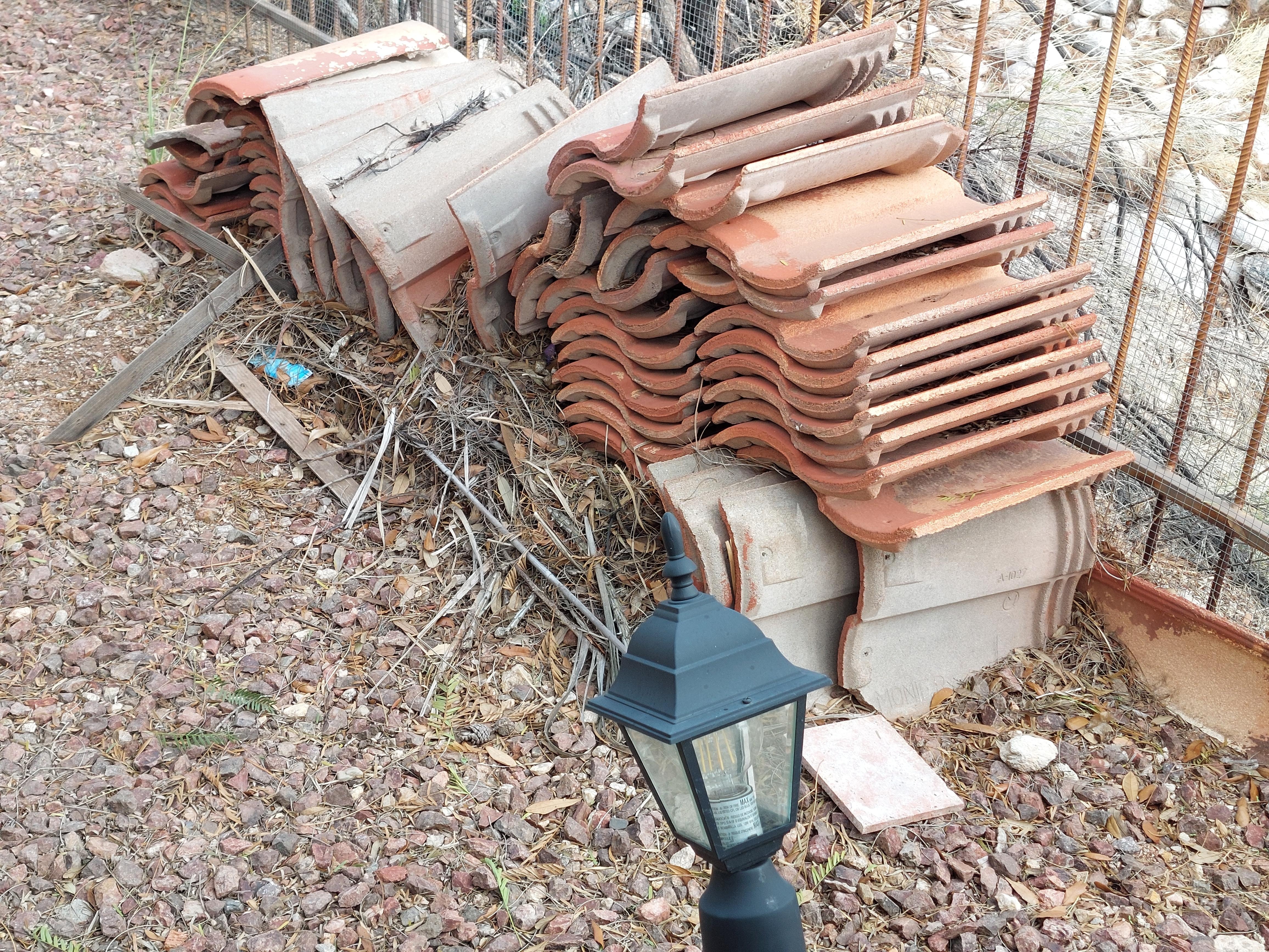 pack rat infestation