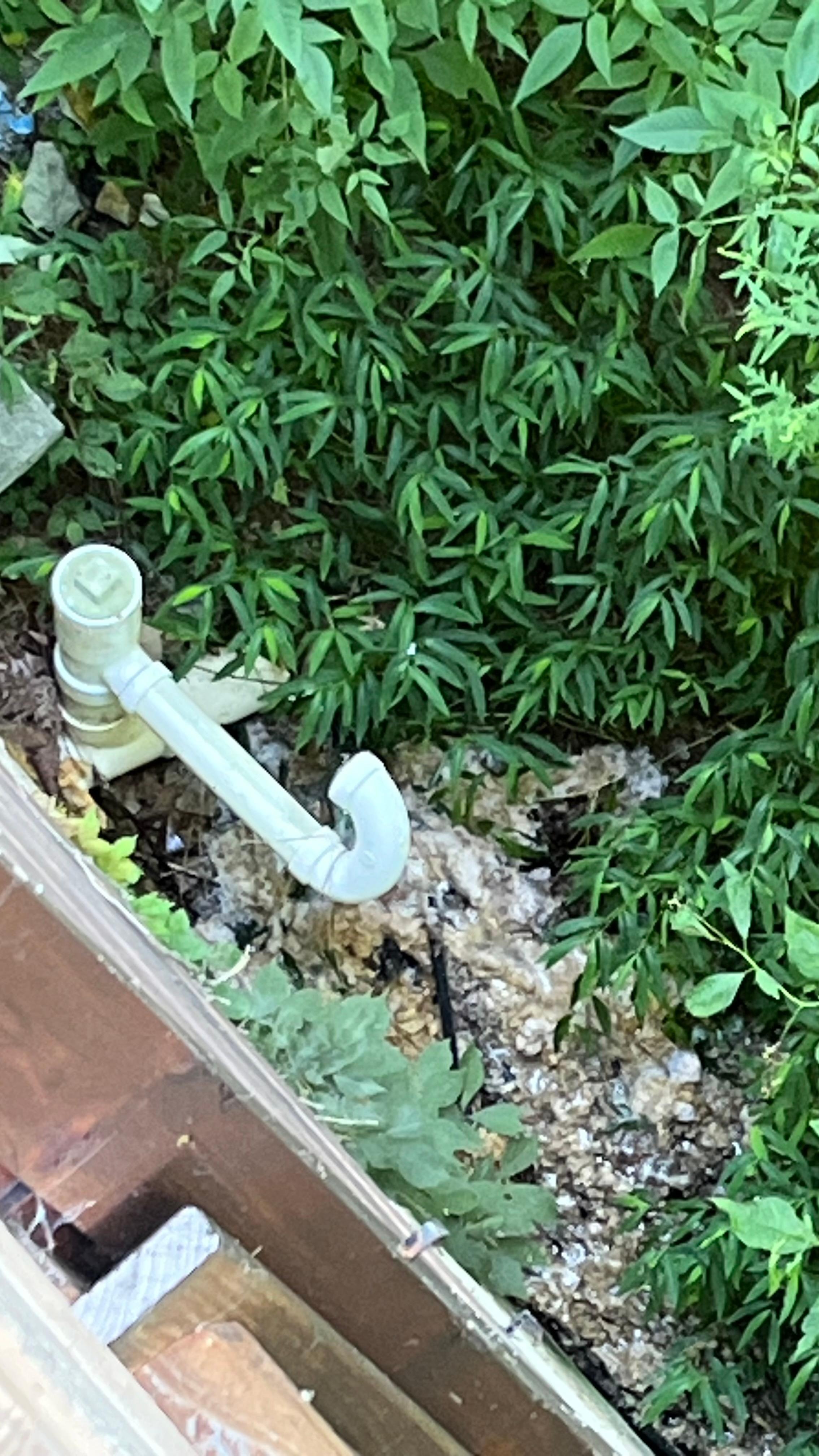 Sewer line where the liquid came out on to the ground, you can see the sludge on the ground