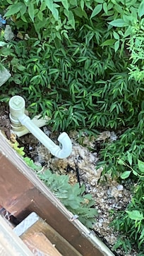 Sewer line where the liquid came out on to the ground, you can see the sludge on the ground