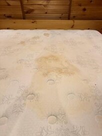 Master Mattress
