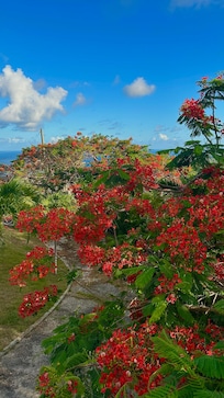 View from pool house deck