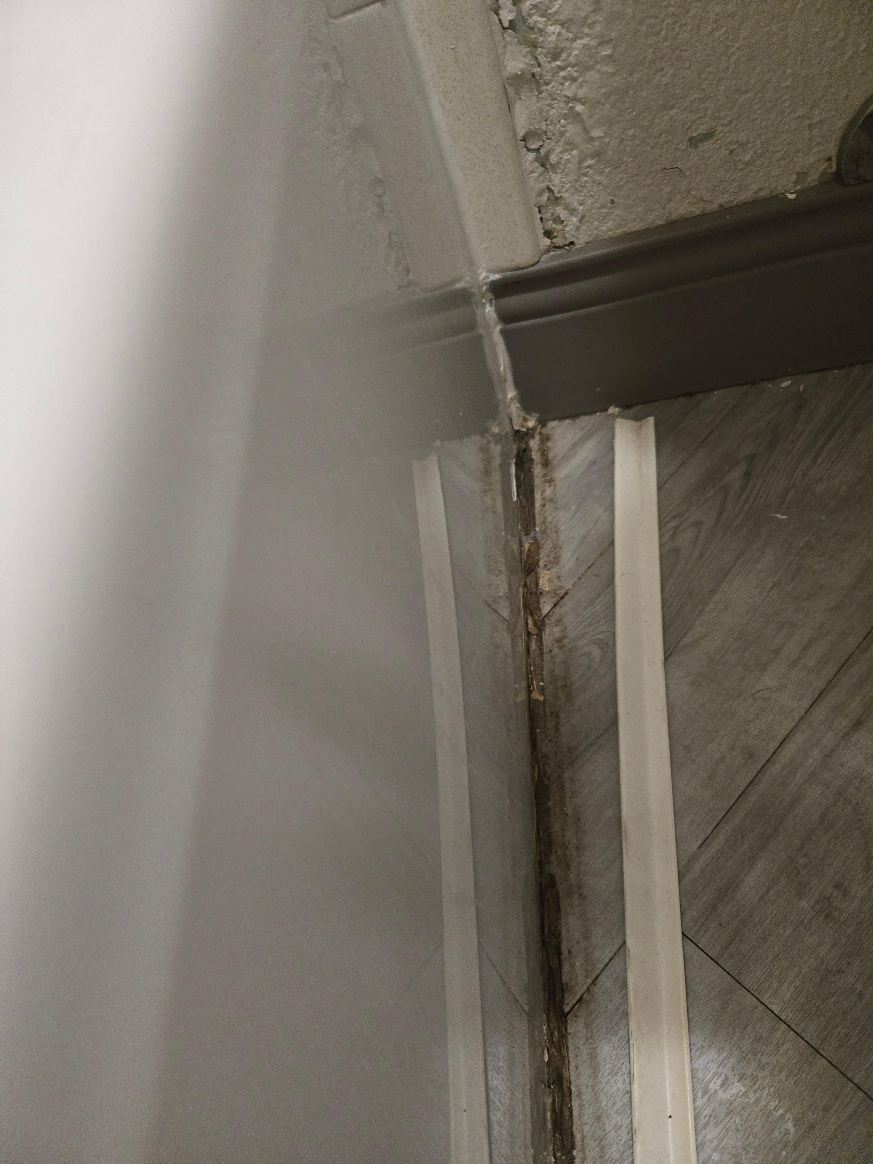 Piece of bathtub falling apart exposing more mold.