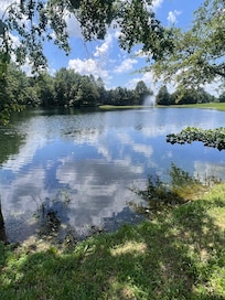 Lake side
