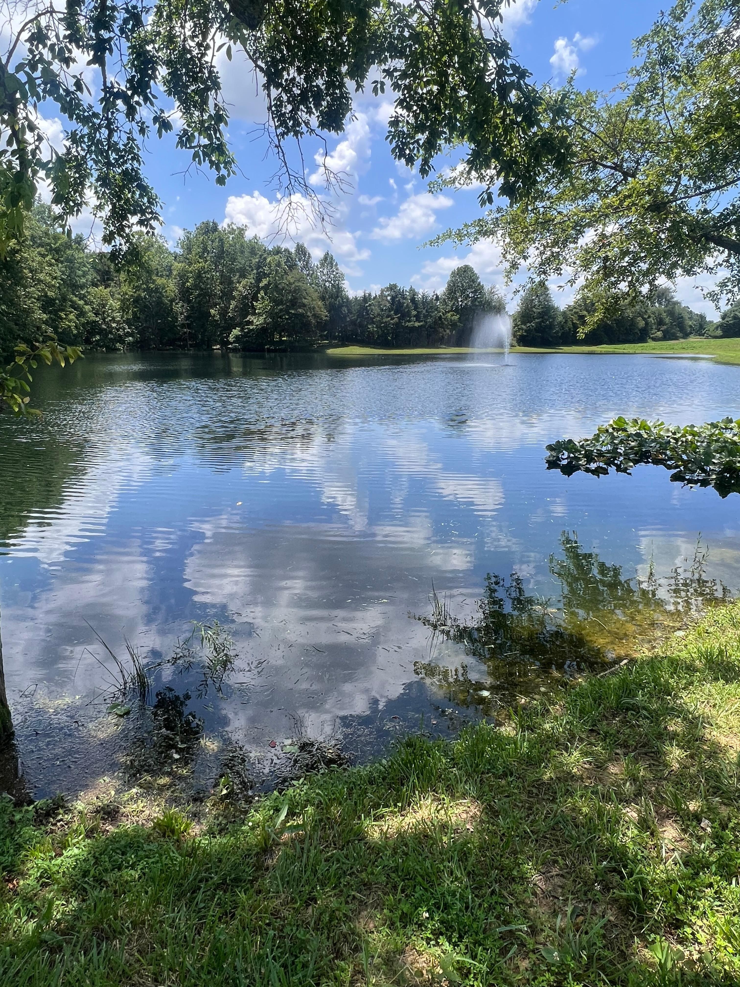Lake side