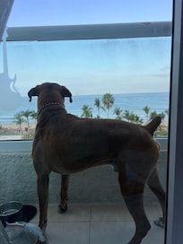 Excelente vista al mar