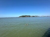 View of the Napa Ruver