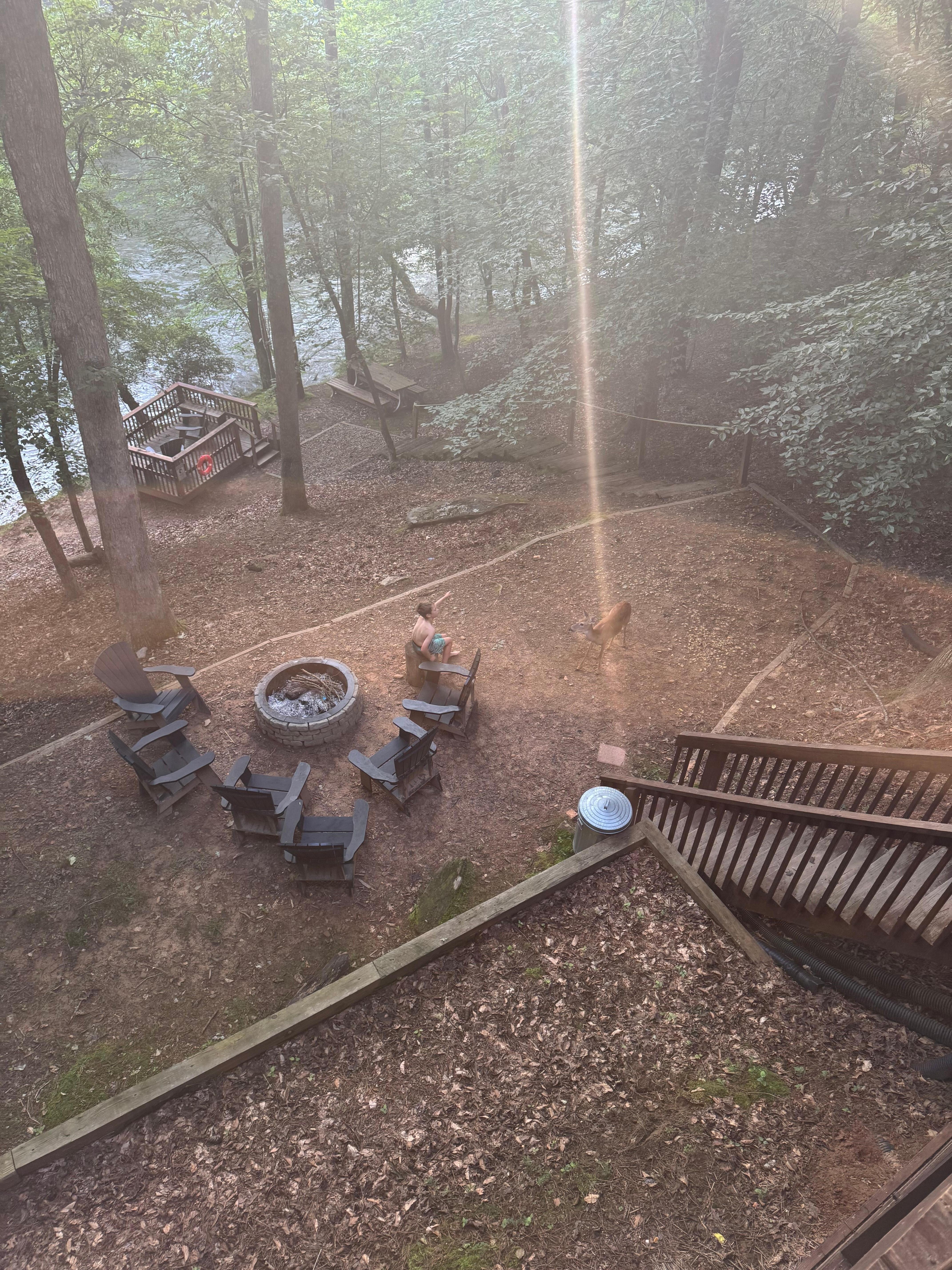 Looking down from the house towards the water 