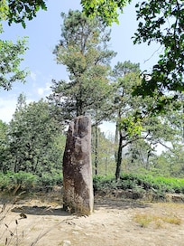 Les mégalithes de Carnac