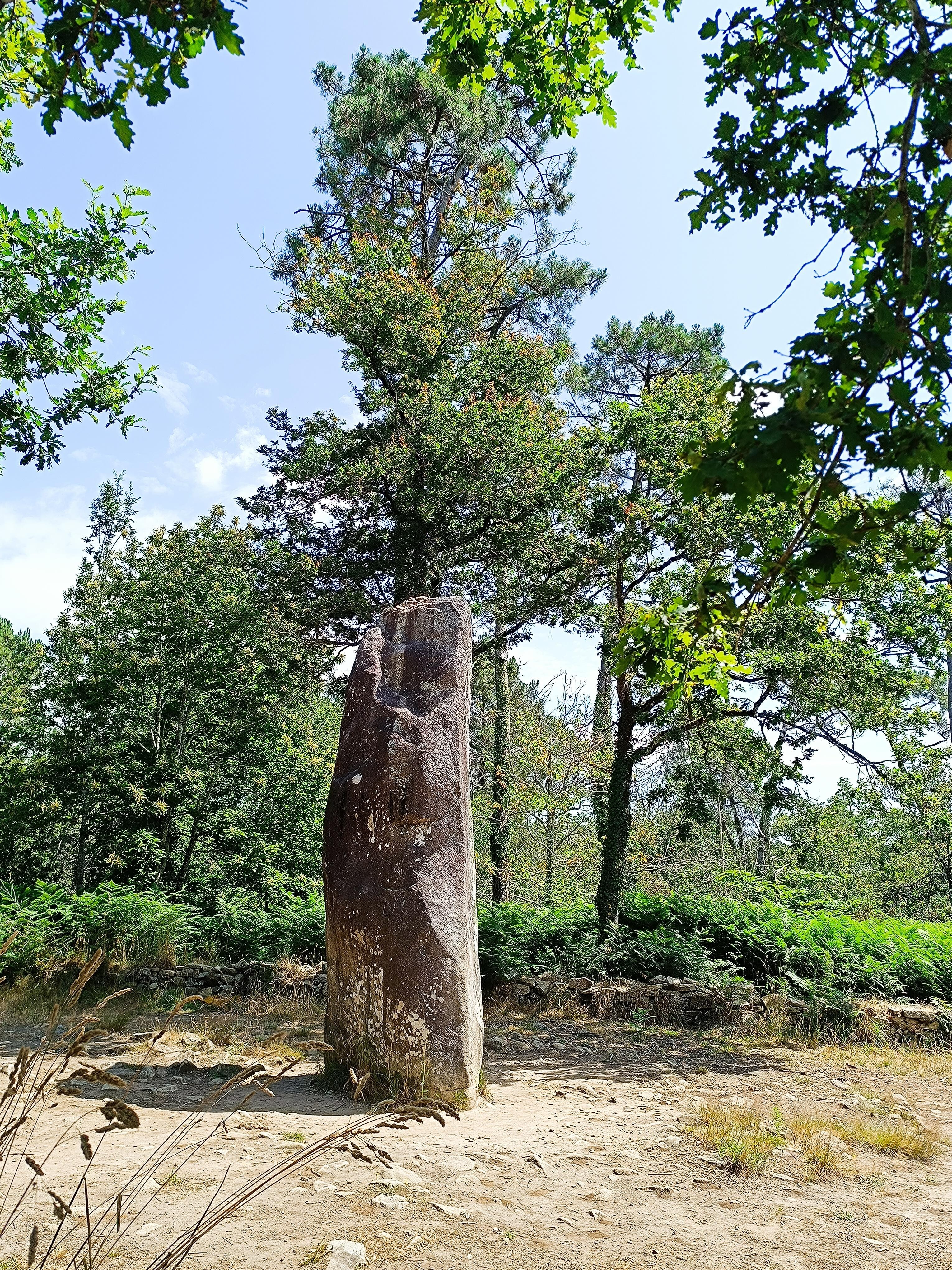 Les mégalithes de Carnac