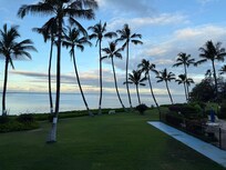 from the patio