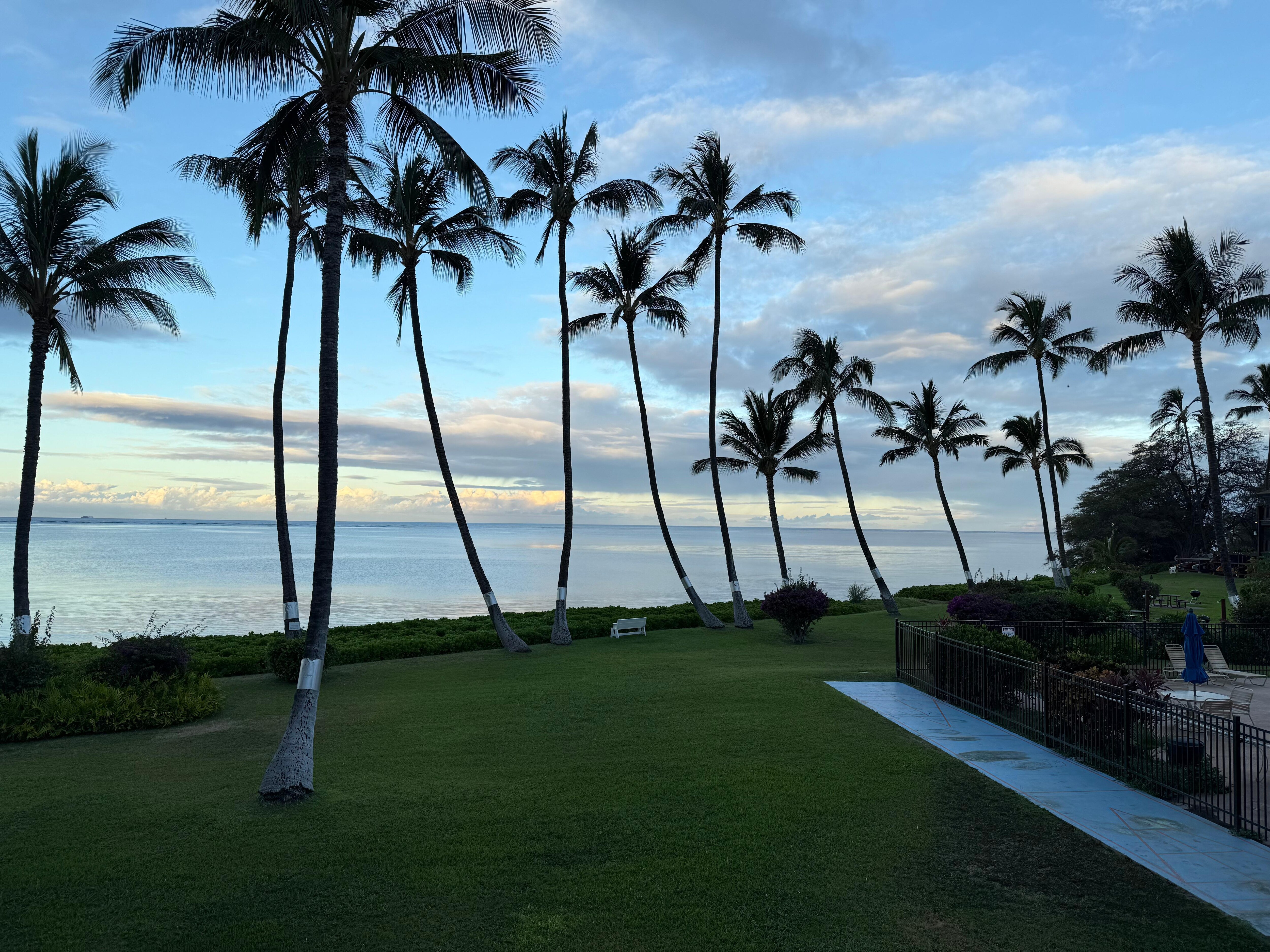 from the patio