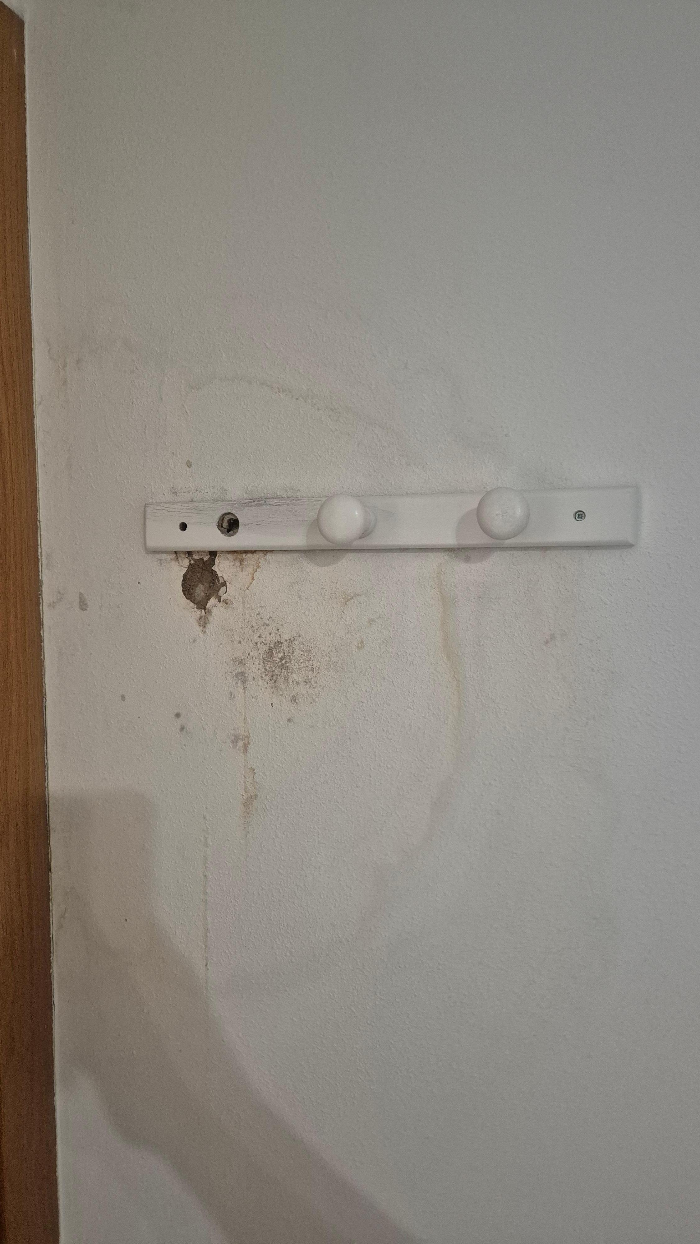 Hole in the wall in main bedroom