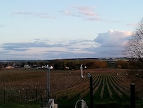 Vue sur les vignes depuis la cour