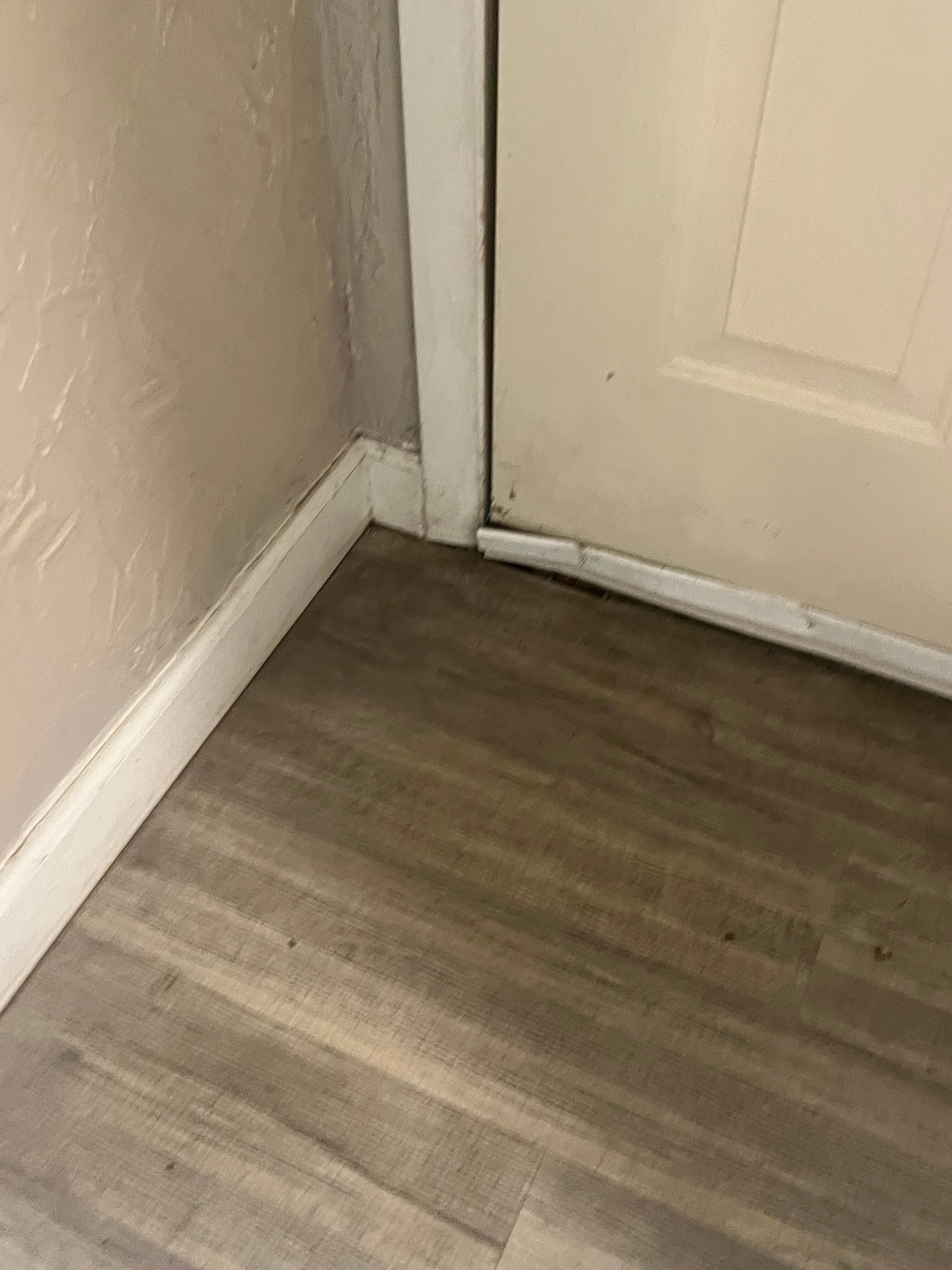 Example of baseboards at front door.