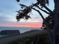 View from kitchen window