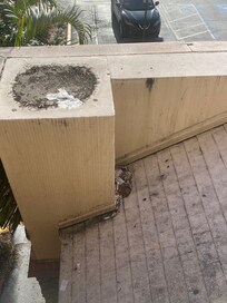 Varanda com esta vista