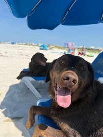 Best Week of their Life!